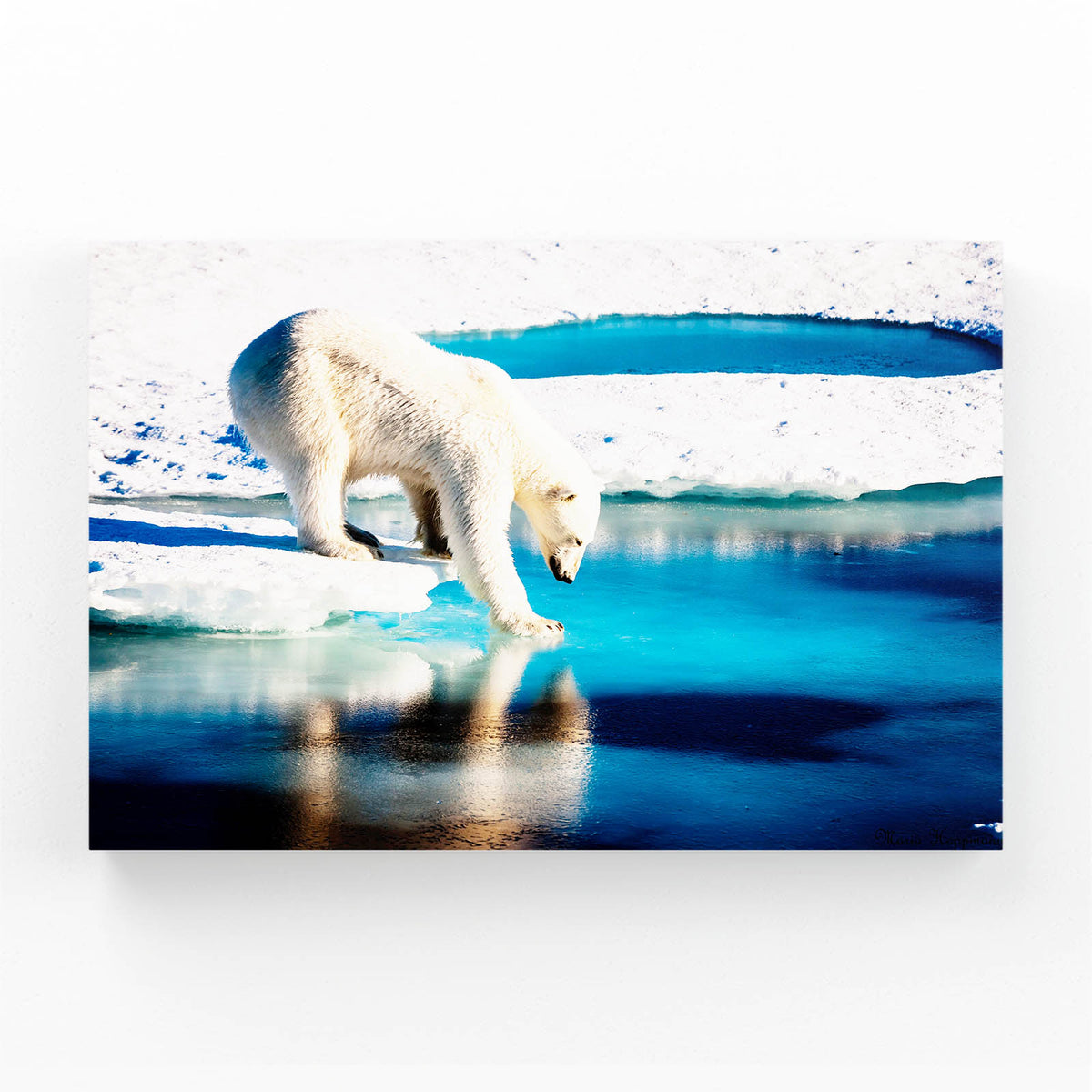 Arctic Ice Walk Bear Prints — contemporary canvas print, angled canvas view on white background