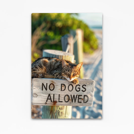 Beach Sign Cat Wall Art