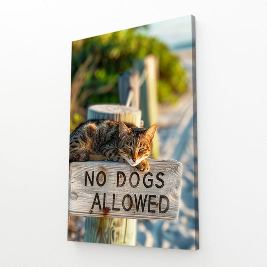 Beach Sign Cat Wall Art