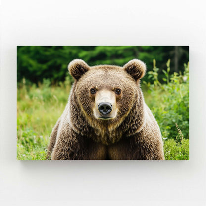 Bear Art Print