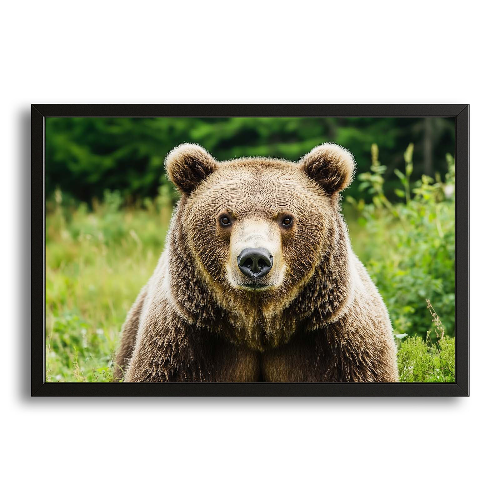 Bear Art Print – canvas print on white background