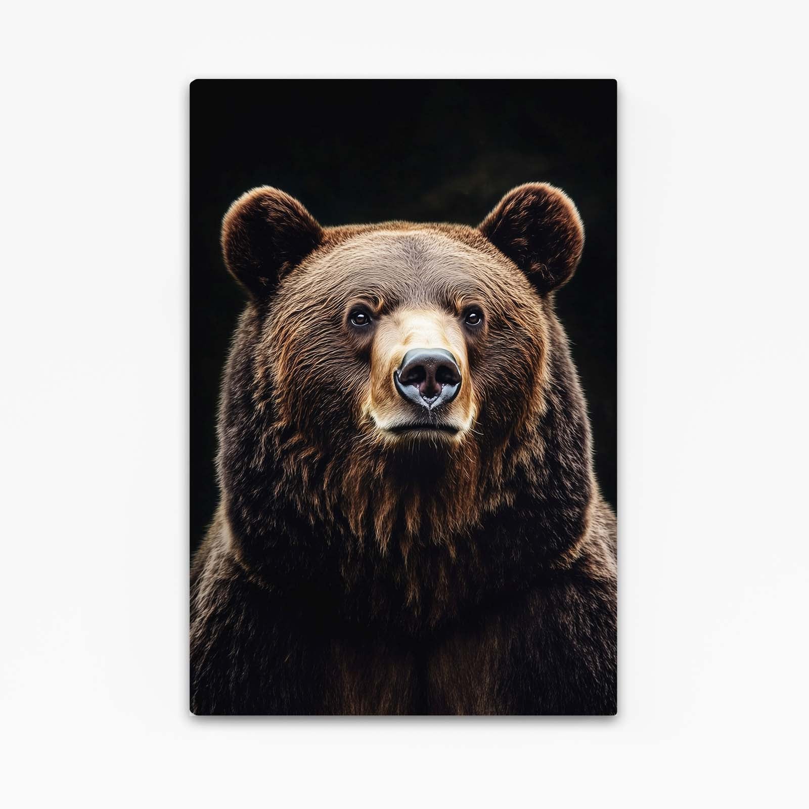 Bear Fine Art
