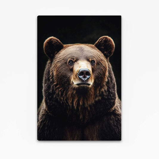 Bear Fine Art