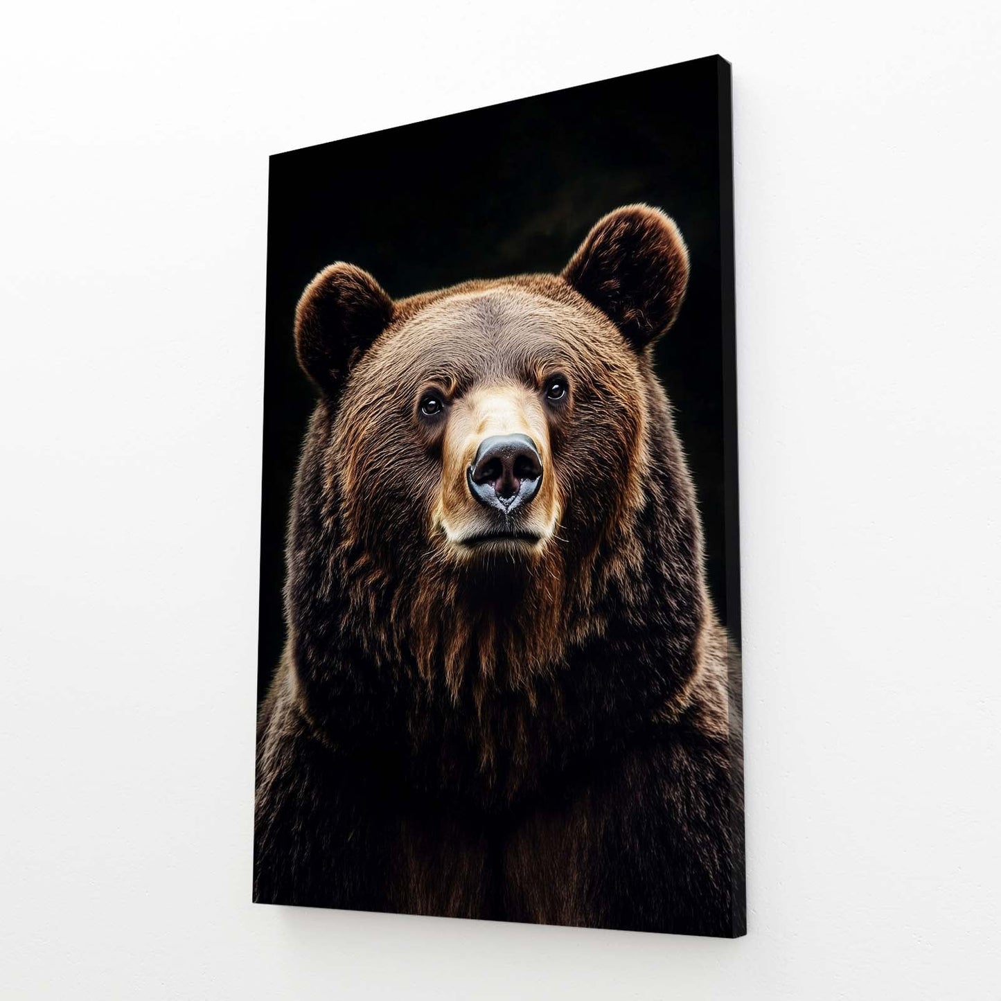 Bear Fine Art