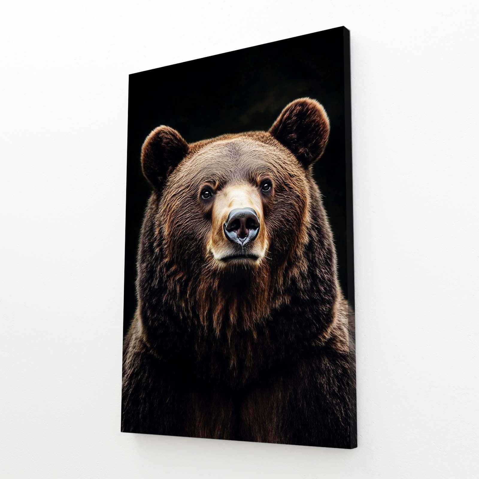 Bear Fine Art