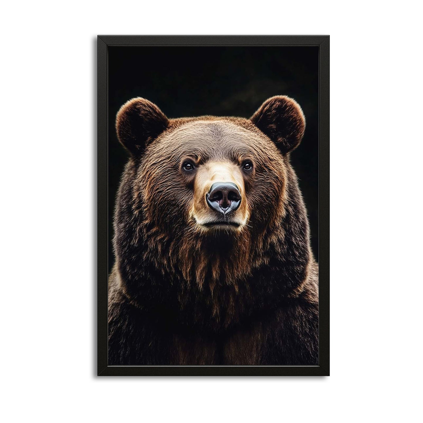 Bear Fine Art