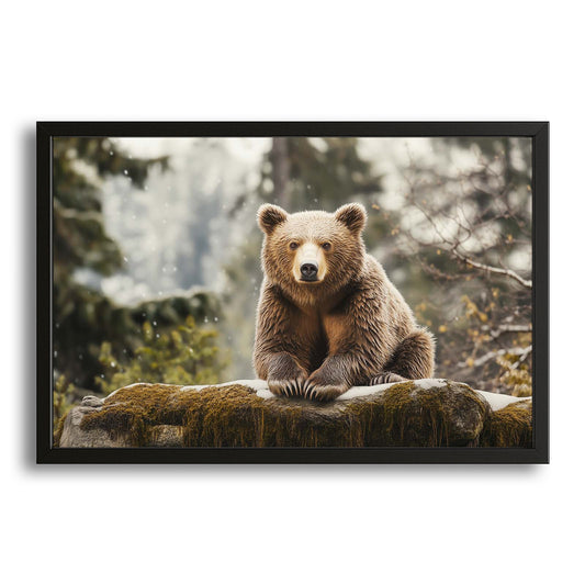 Bear Framed Art