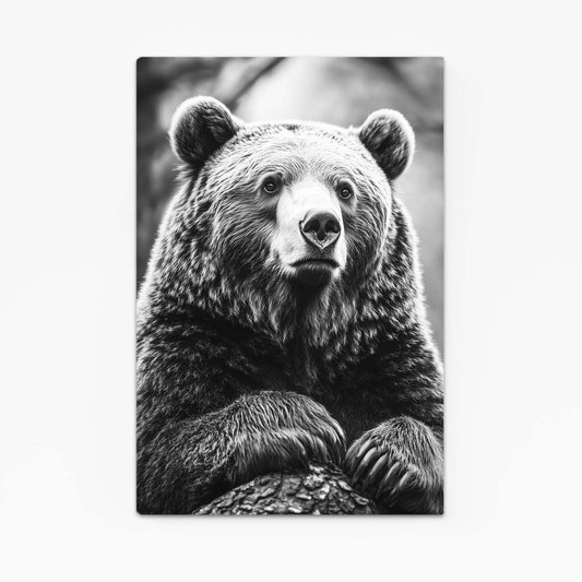 Bear Portrait Art