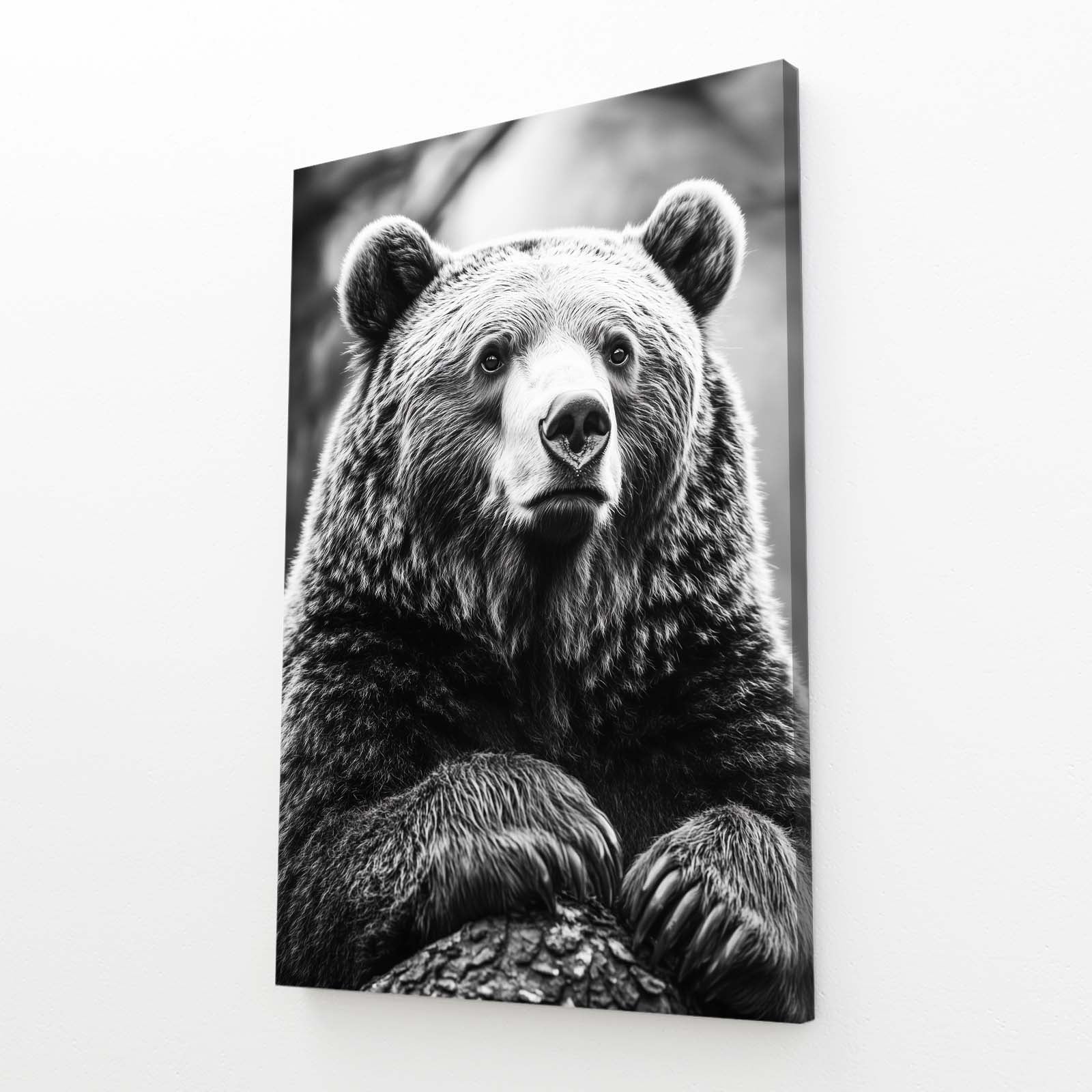 Bear Portrait Art