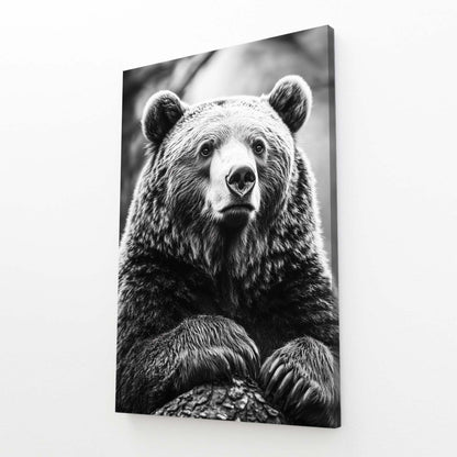 Bear Portrait Art