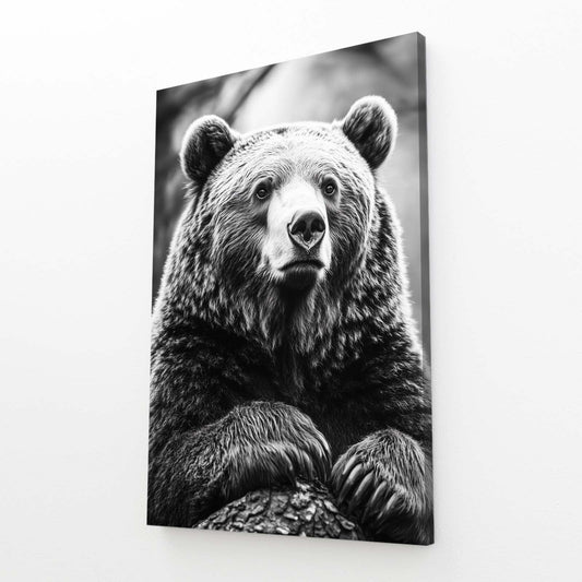 Bear Portrait Art