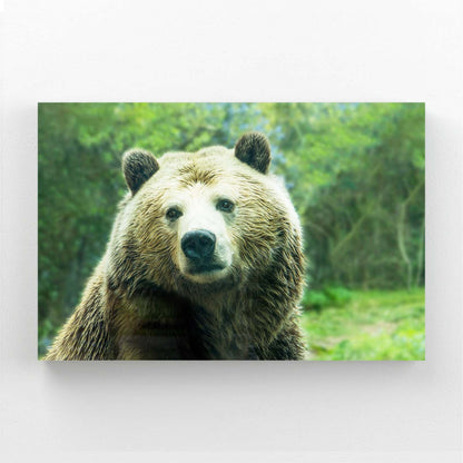 Bear Wall Art Nursery