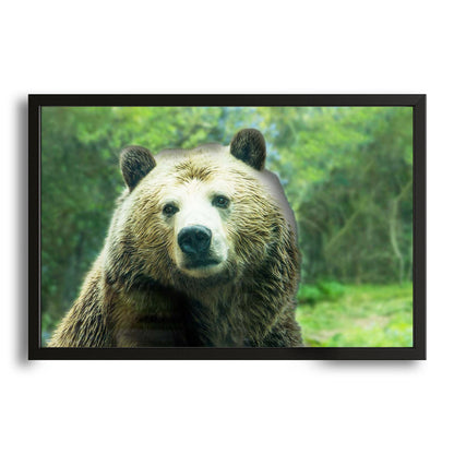 Bear Wall Art Nursery