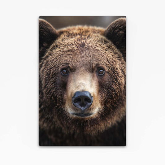 Bear Wall Art
