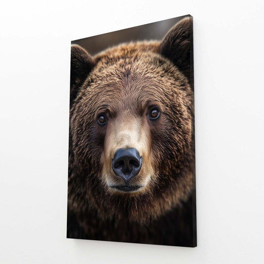 Bear Wall Art