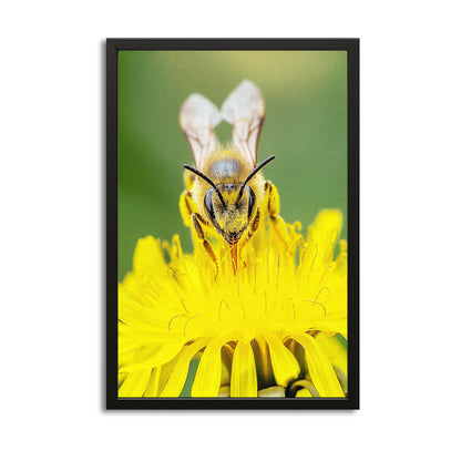 Bee On Dandelion Art