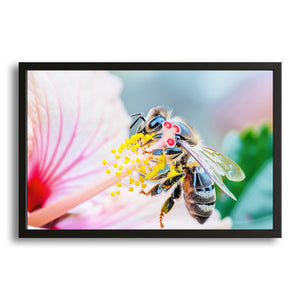 Bee On Hibiscus Art