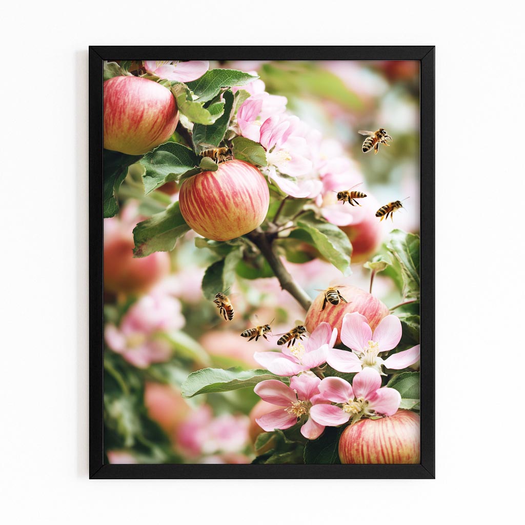 Bees And Blossom Apple Wall Art – with Premium Black frame on white background