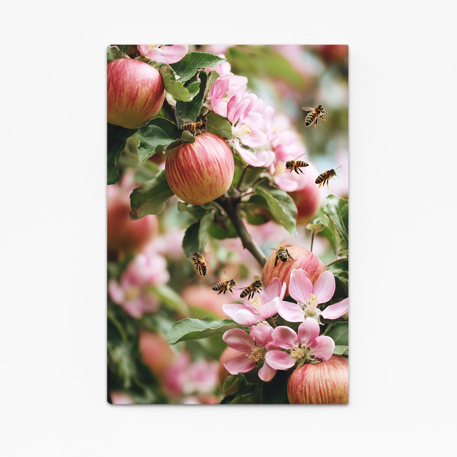 Bees And Blossom Apple Wall Art – bees and blossom apple canvas print