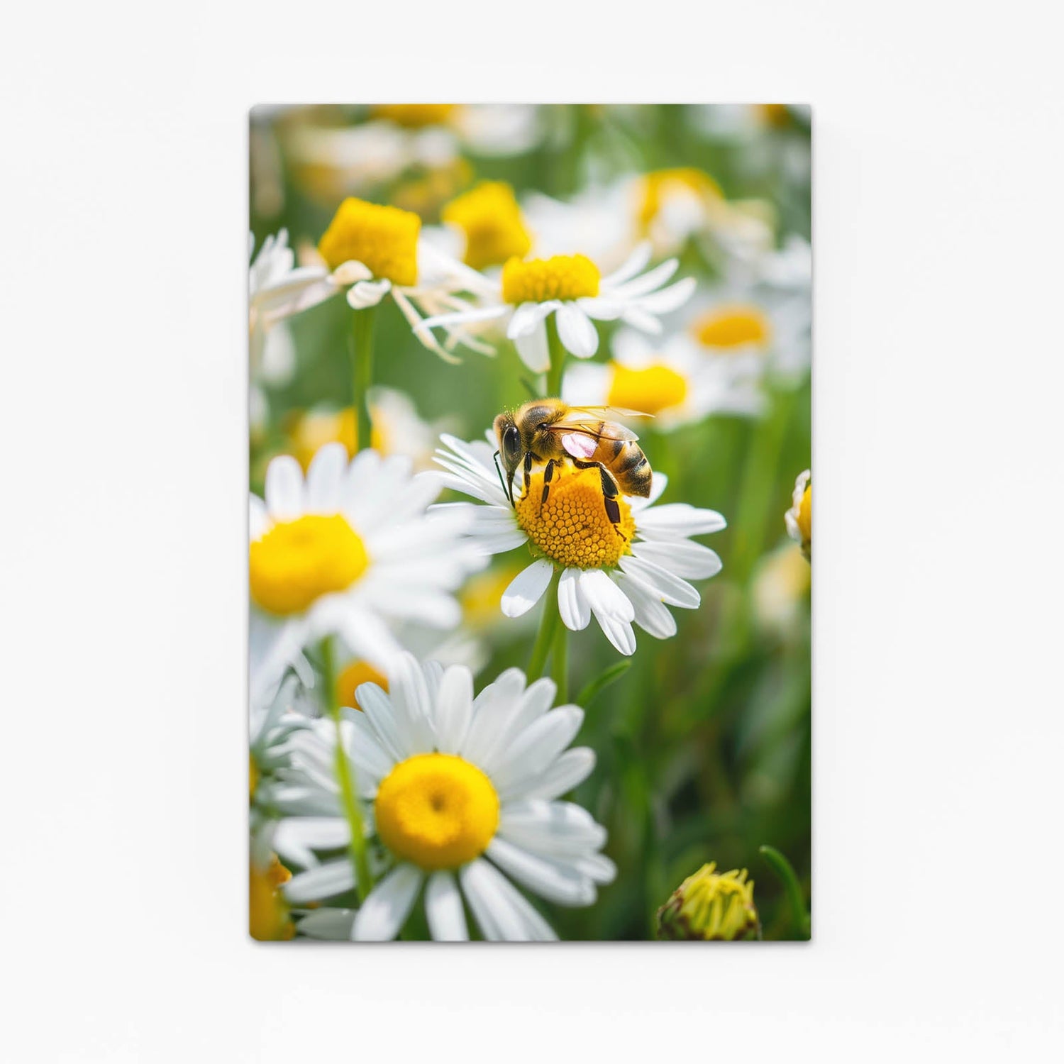 Bees And Flowers Art — botanical canvas print in green tones