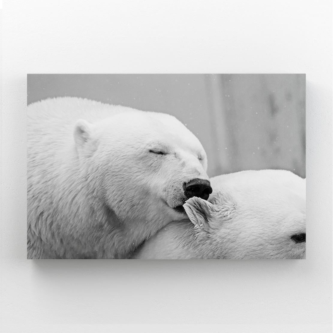 Black And White Bear Art