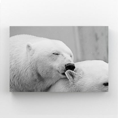 Black And White Bear Art