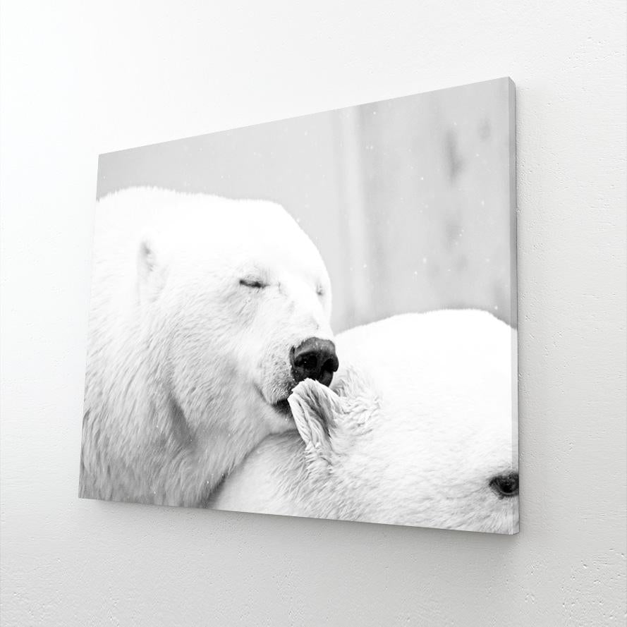 Black And White Bear Art