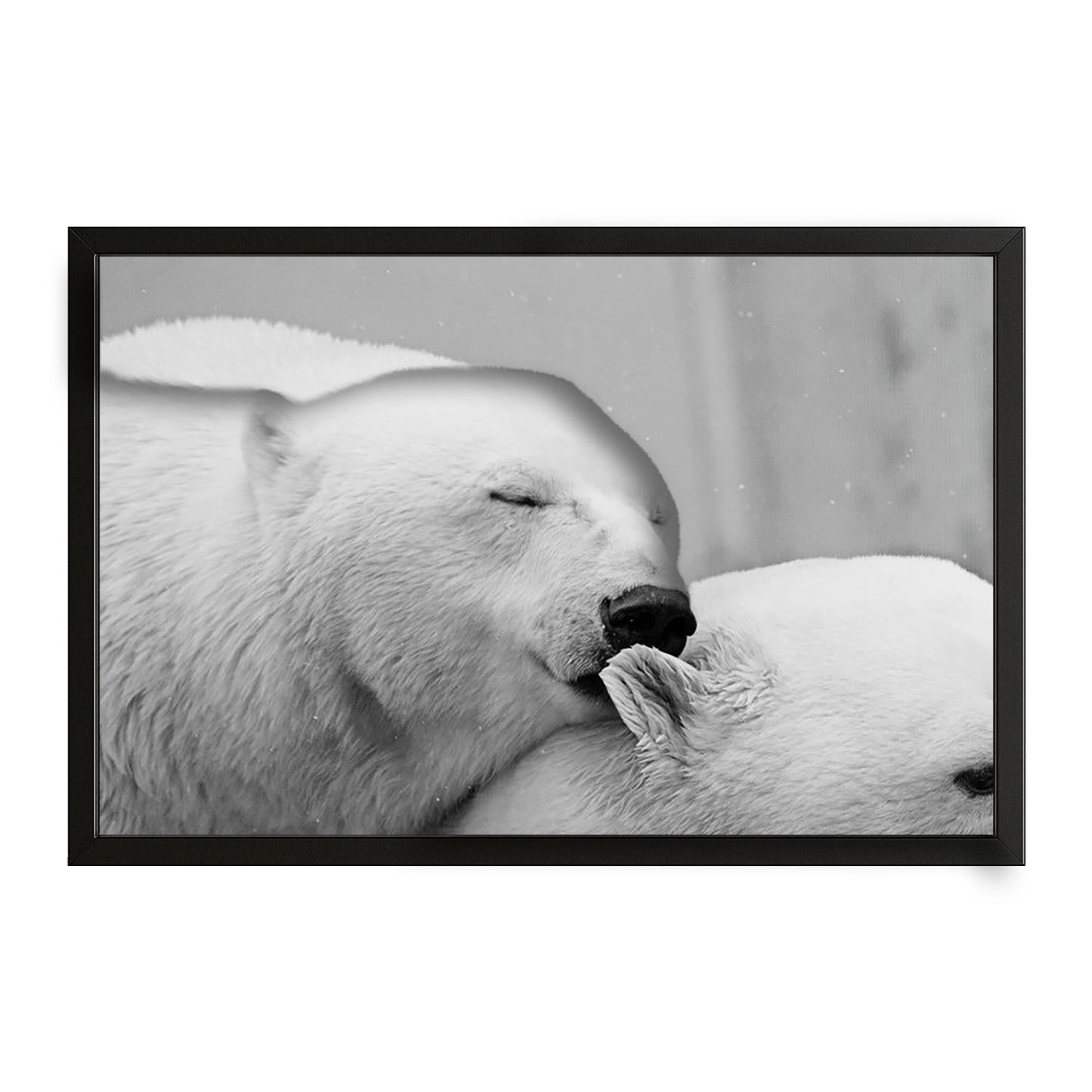 Black And White Bear Art