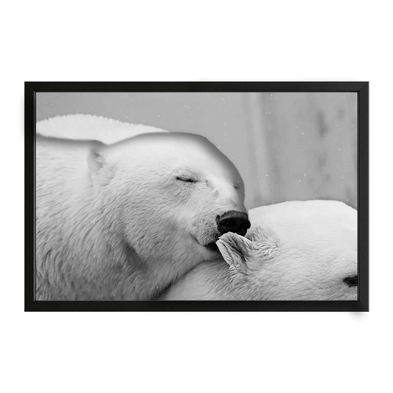 Black And White Bear Art – canvas print on white background