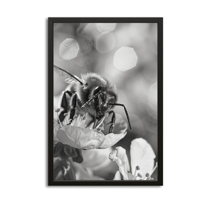Black And White Bee Art