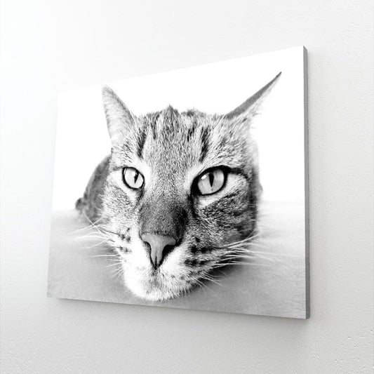 Black And White Cat Wall Art