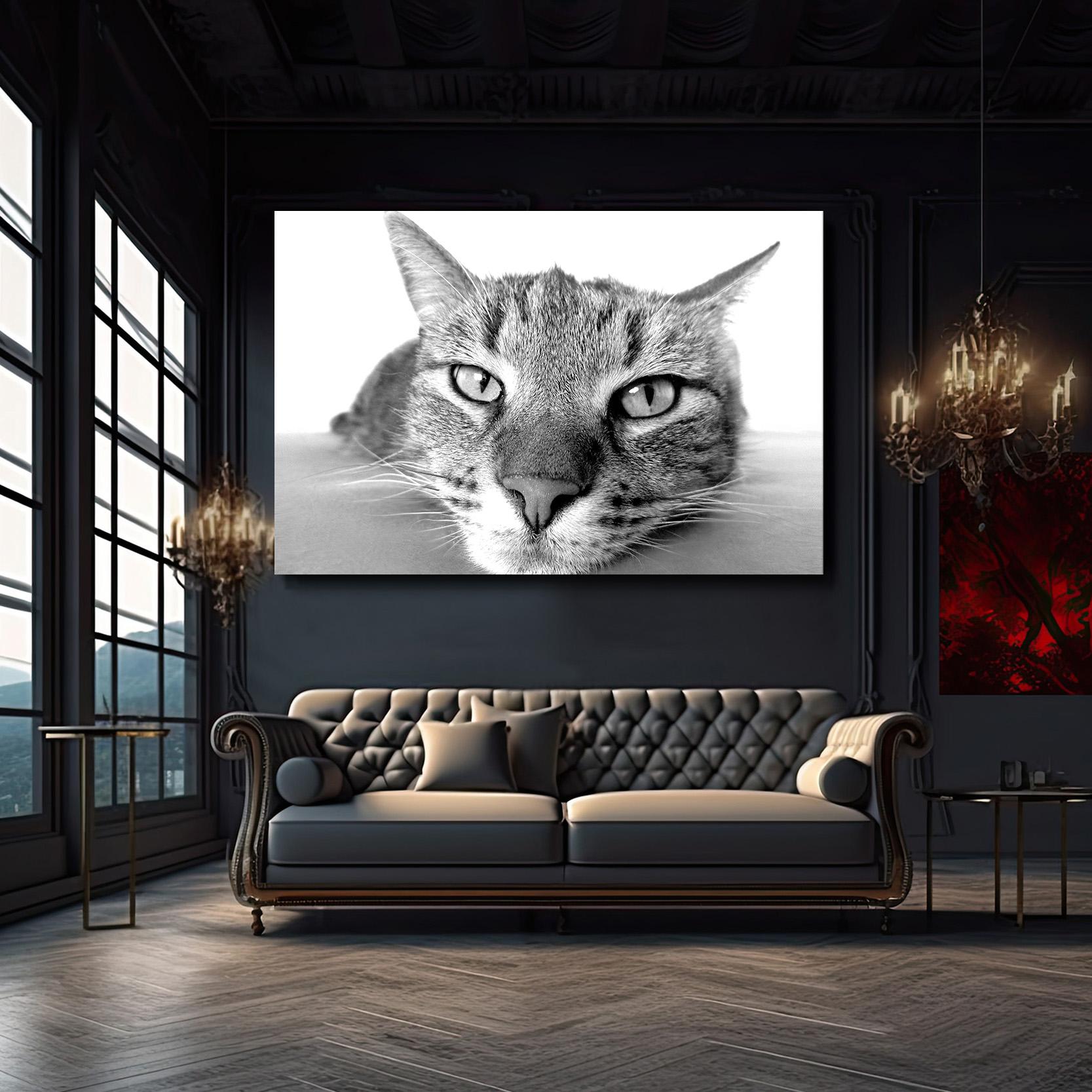 Black And White Cat Wall Art