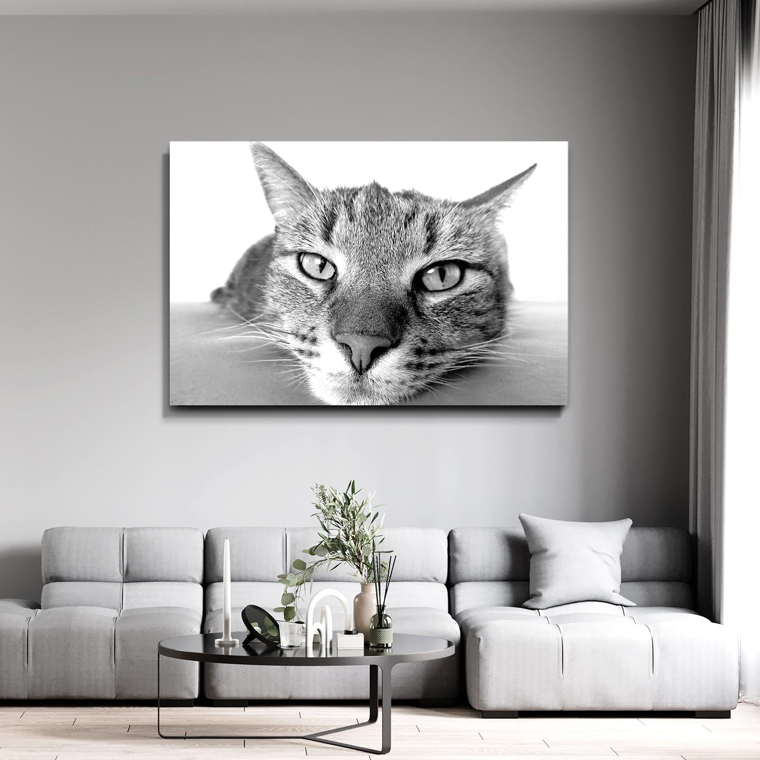 Black And White Cat Wall Art