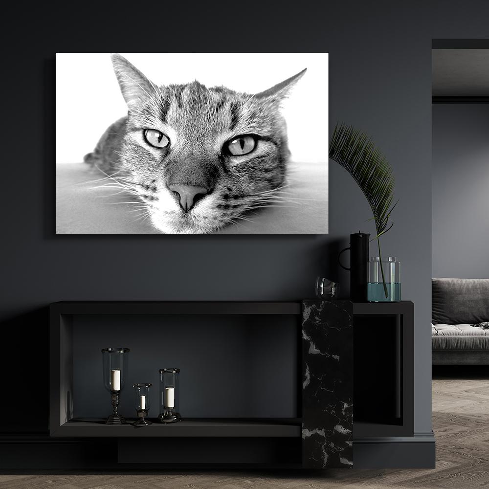 Black And White Cat Wall Art