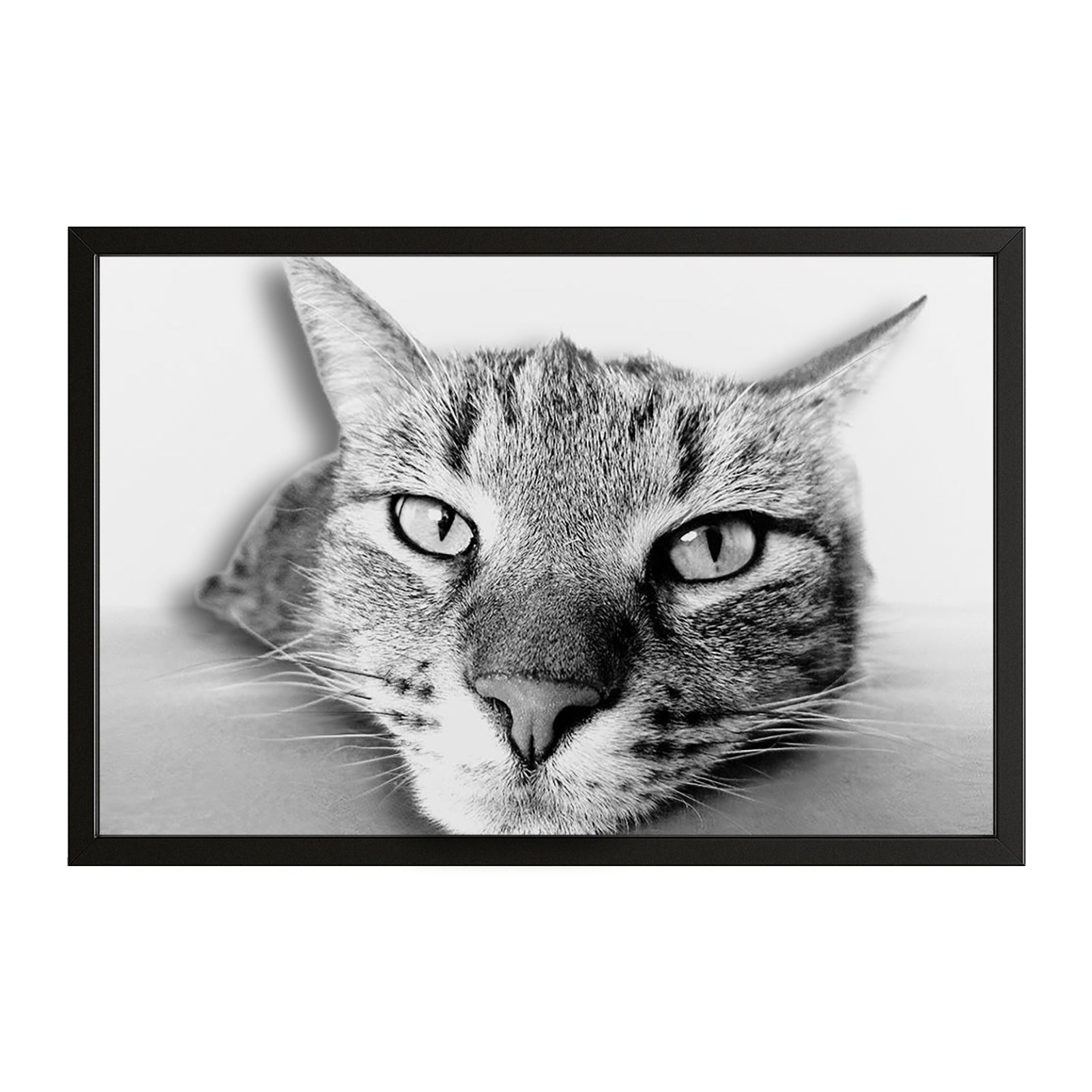 Black And White Cat Wall Art – canvas print on white background