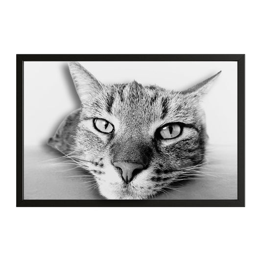 Black And White Cat Wall Art – canvas print on white background