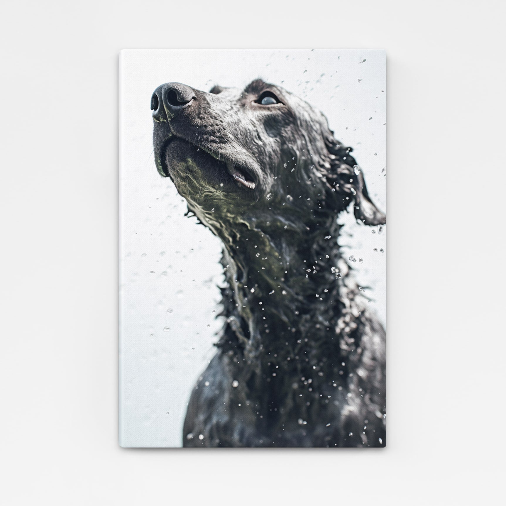 Black And White Dog Art Work