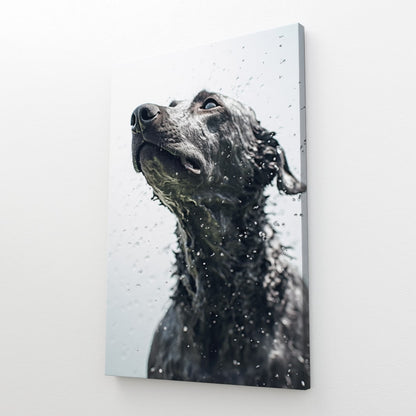 Black And White Dog Art Work