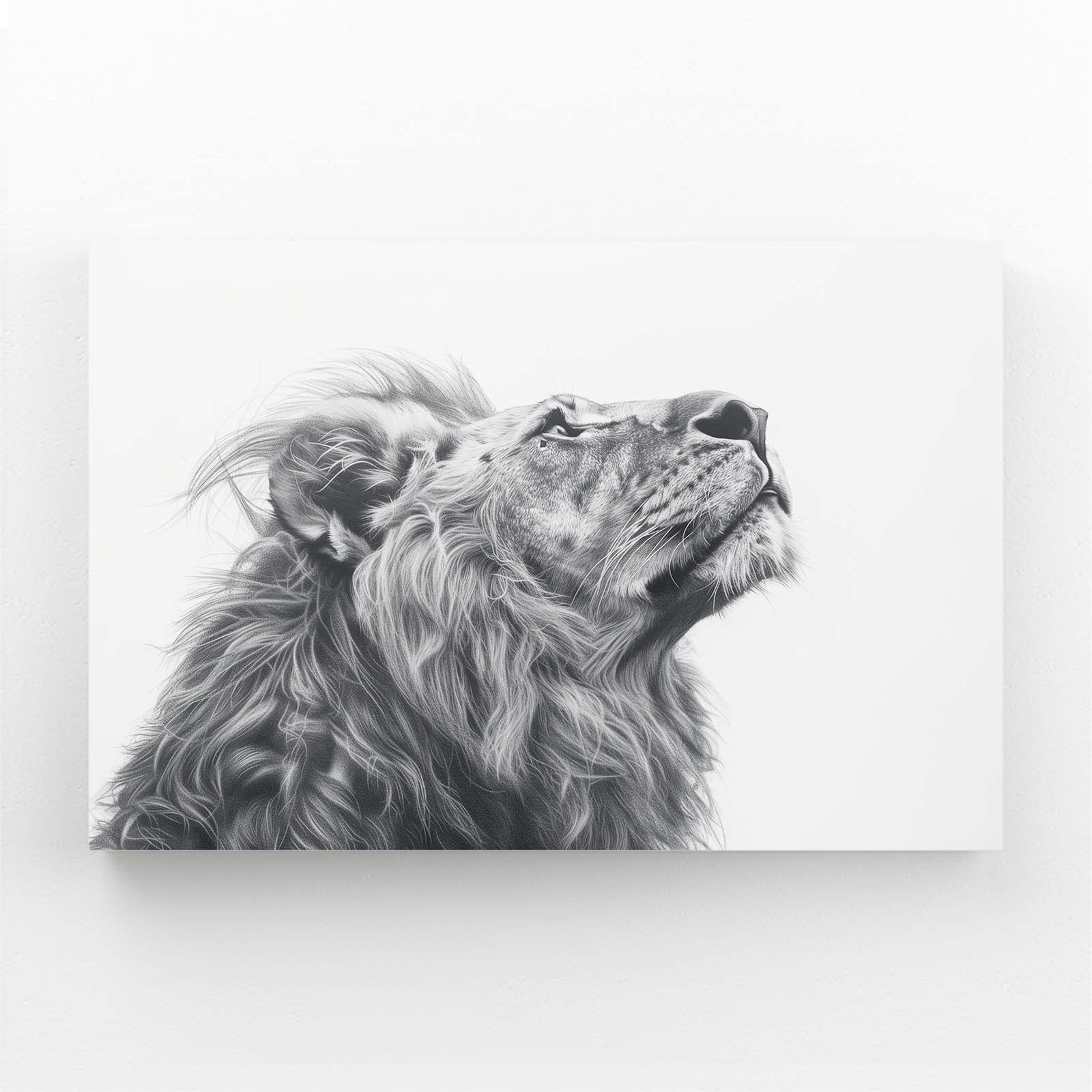 Black And White Lion Canvas Art