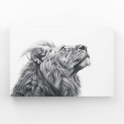 Black And White Lion Canvas Art