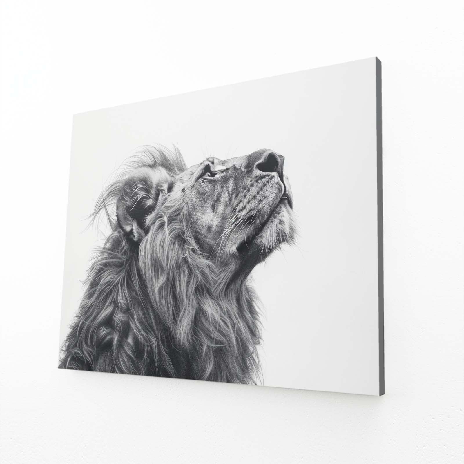 Black And White Lion Canvas Art