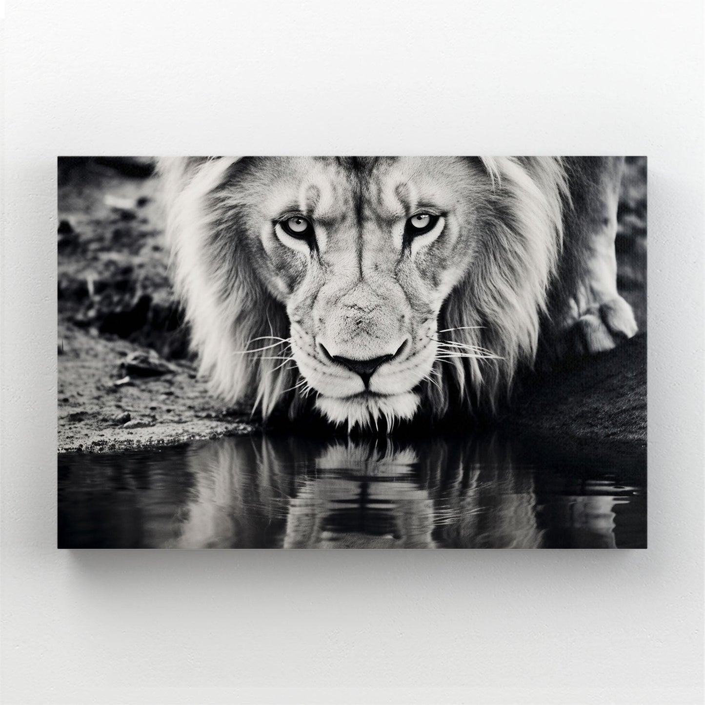 Black and White Lion Wall Art