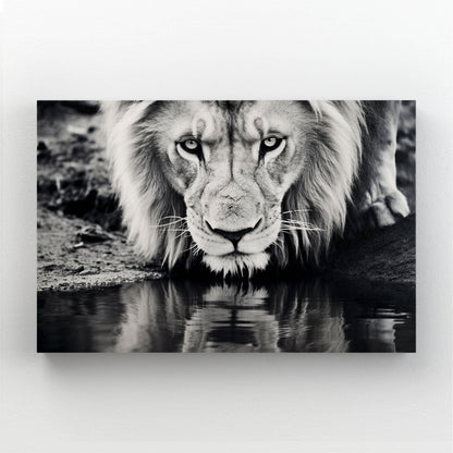 Black and White Lion Wall Art