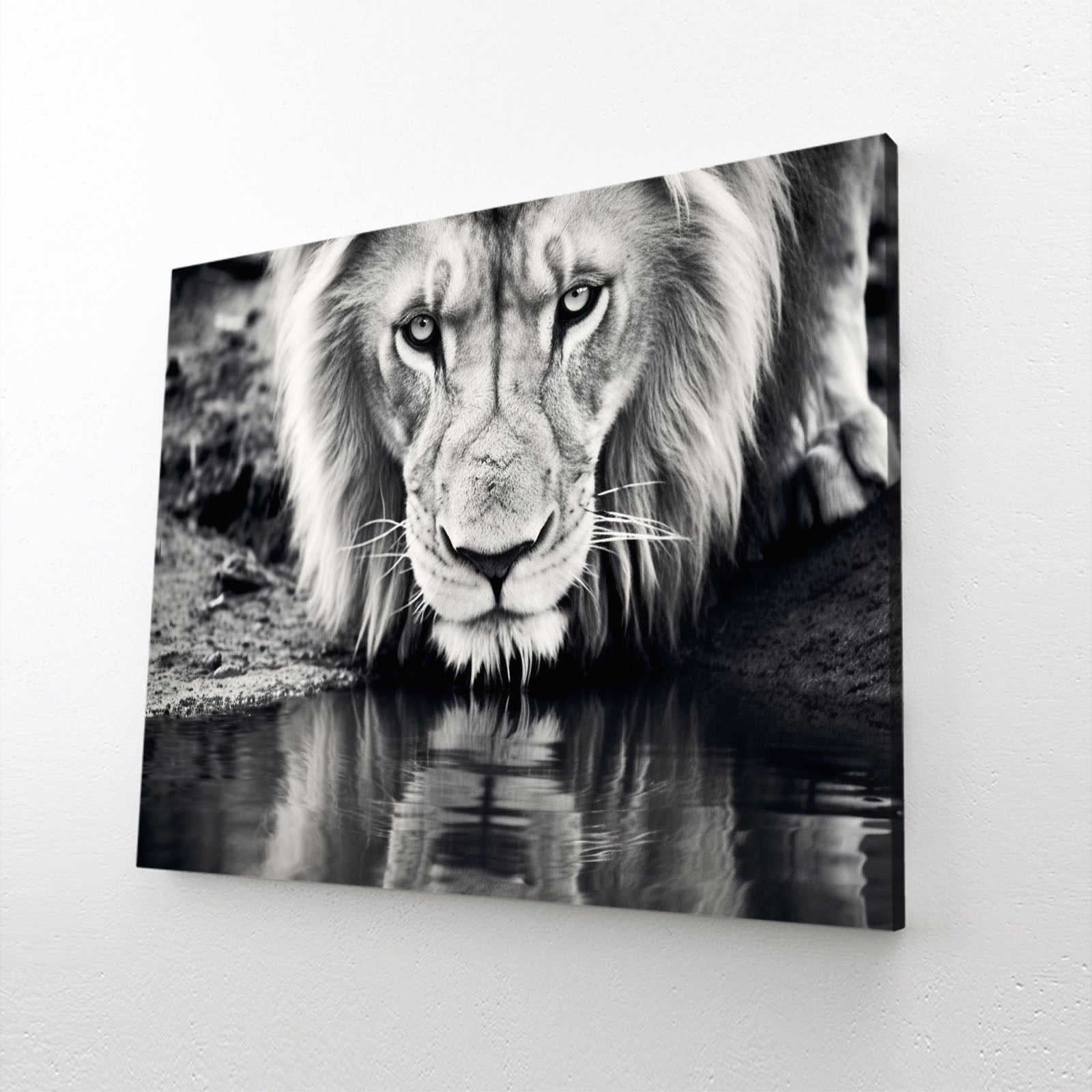 Black and White Lion Wall Art