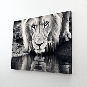 Black and White Lion Wall Art