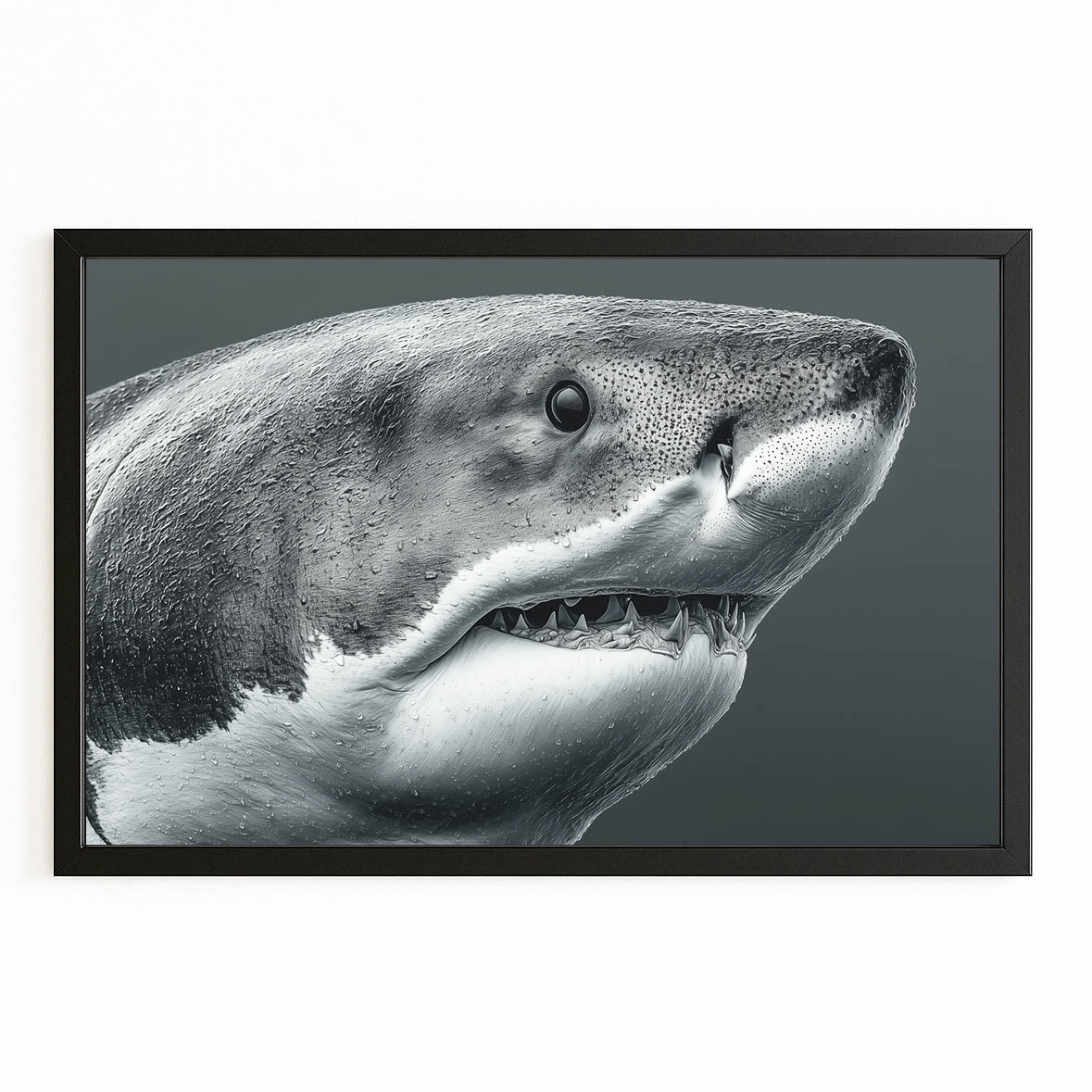 Black and White Portrait Shark Wall Art – with Premium Black frame on white background