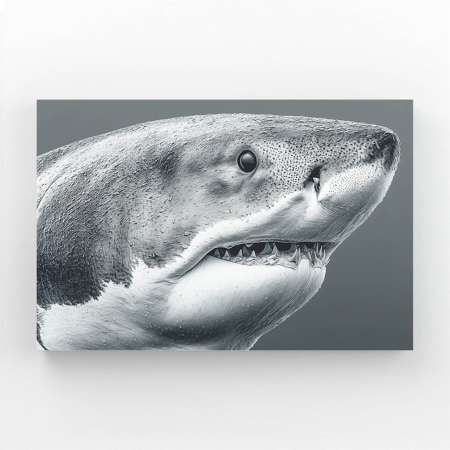 Black and White Portrait Shark Wall Art – canvas print on white background