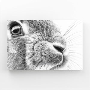 Black And White Rabbit Canvas Art