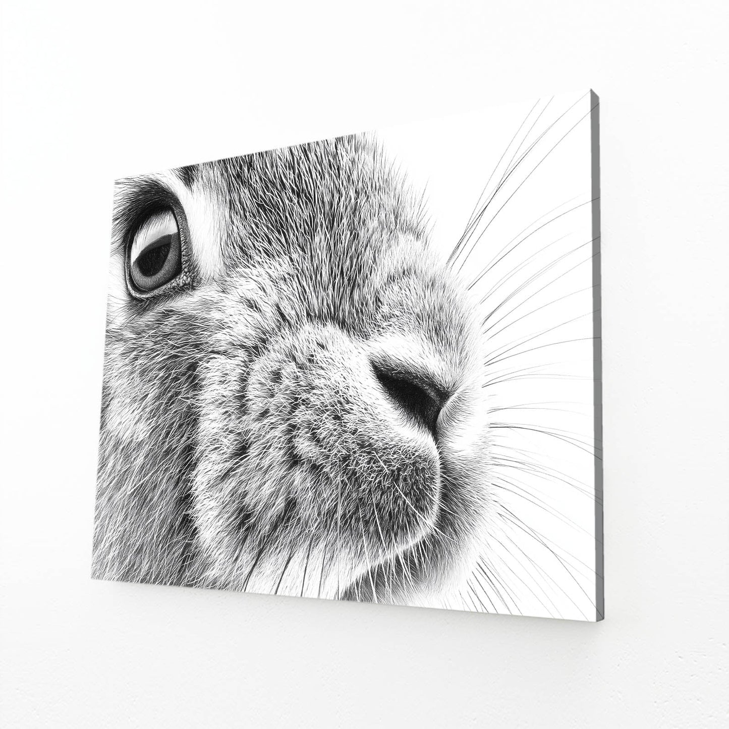 Black And White Rabbit Canvas Art – angled canvas view on white background