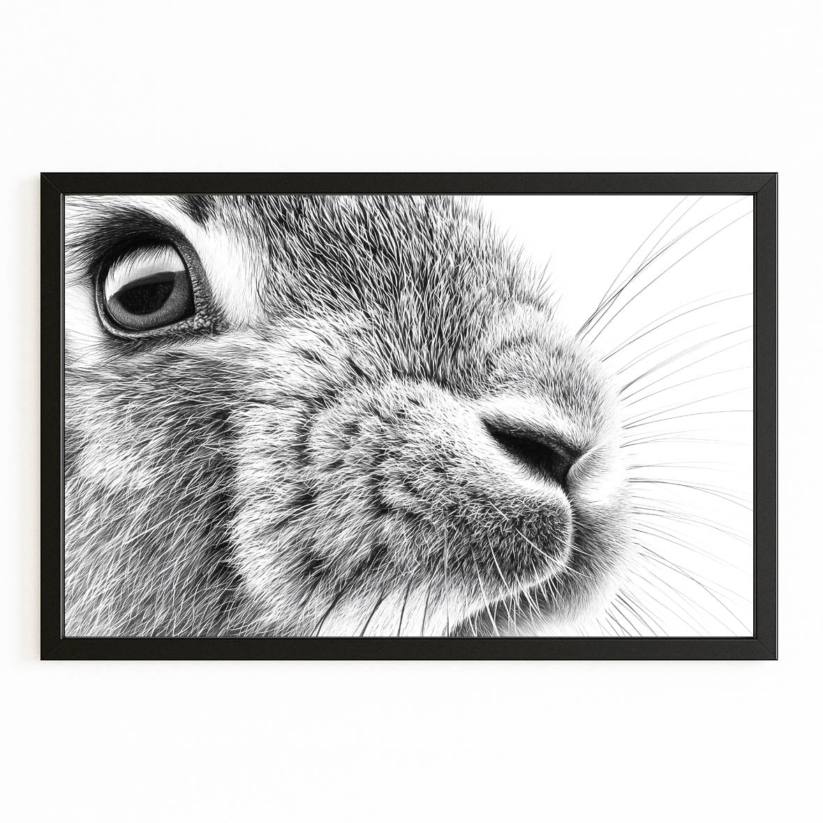 Black And White Rabbit Canvas Art – with Premium Black frame on white background